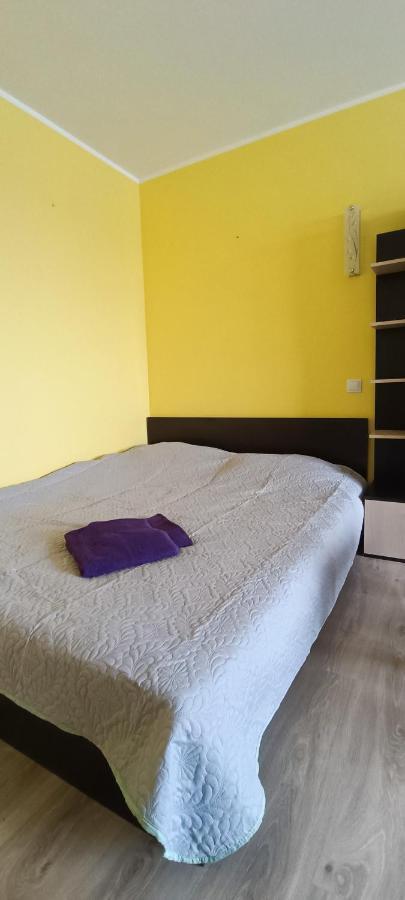 Adeles Apartamentai Panevezyje Panevėžys 外观 照片